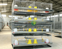 Cage à poussins empilable de type H à 4 niveaux, 240 places, avec espace d'alimentation séparé pour poussins de différents âges, nouvelle en acier galvanisé haute résistance à la corrosion