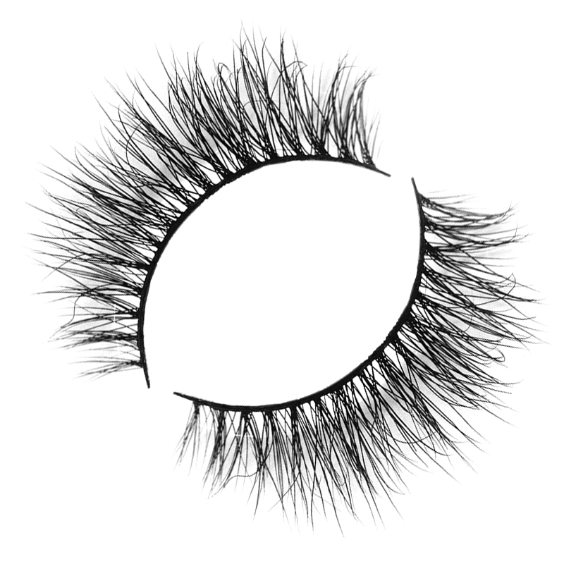 SN10
