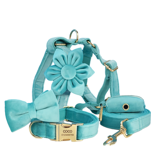 <span class=keywords><strong>2025</strong></span> elegante Lago Verde terciopelo pequeño perro Correa arnés <span class=keywords><strong>Collar</strong></span> conjunto con cómodo transpirable flor <span class=keywords><strong>Collar</strong></span> para mascotas - Product Image 1