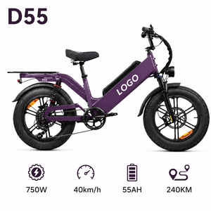 Bicicleta Eléctrica de Carga D55, 48V55Ah, Alta Velocidad, 750W, Neumático Grueso de 20 Pulgadas, 28 mph, OEM, Bicicleta Todoterreno para Entregas con Señales de Giro - Product Image 1