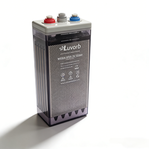 Batterie tubulaire gel scellée sans entretien Luvorb GFM300 2V 100Ah à décharge profonde rechargeable pour systèmes solaires - Product Image 1