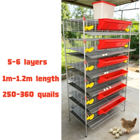Cages à cailles pondeuses de type H pour la production d'œufs, équipement d'élevage avicole