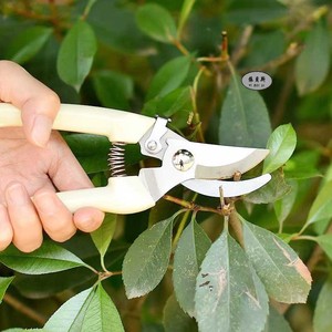 Meilleur <span class=keywords><strong>Prix</strong></span> Ensemble de Jardinage : Sécateur de Jardin, Ciseaux d'Élagage pour Arbres Fruitiers et Branches, Élagueuse pour Arbres - Product Image 6