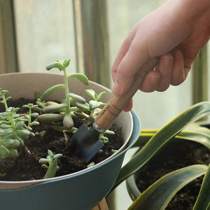 ชุดจอบทำสวน จอบเหล็กขนาดเล็กสำหรับกระถางต้นไม้ ดินหลวมคลายดิน ใช้ในบ้าน ทนทาน สไตล์เรียบง่าย ชุดสามชิ้น - Product Image 2