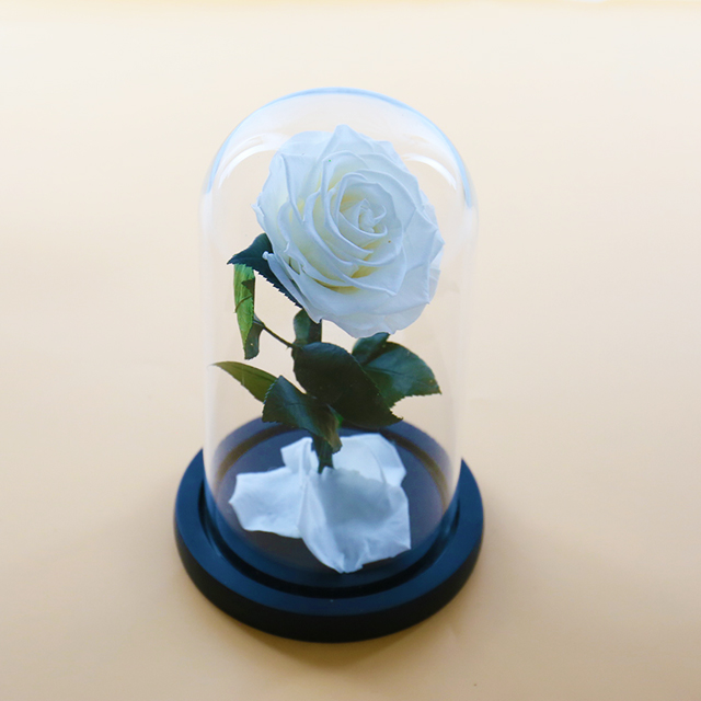 White single preserved rose