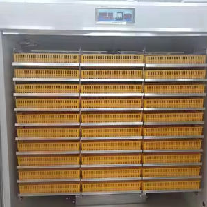 Incubadora automática <span class=keywords><strong>de</strong></span> nueva condición para incubar 5000 <span class=keywords><strong>huevos</strong></span> <span class=keywords><strong>de</strong></span> <span class=keywords><strong>gallina</strong></span> para <span class=keywords><strong>diferentes</strong></span> <span class=keywords><strong>tipos</strong></span> <span class=keywords><strong>de</strong></span> <span class=keywords><strong>huevos</strong></span>, nuevo tipo <span class=keywords><strong>de</strong></span> incubadora - Product Image 2