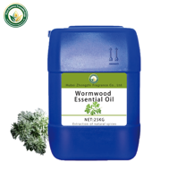 Huile Essentielle d'Armoise (Artemisia Argyi) 100% Distillée à la Vapeur en Vrac pour Aromathérapie, Cosmétiques, Bain de Pieds, Savon, Bougie, Vente en Gros, OEM