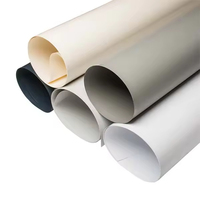La Chine usine Die Cut mat brillant PP feuille PET Mylar imperméable résistant à la chaleur feuille de plastique ignifuge