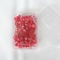 Kotak DIY buatan tangan untuk bunga Baby Breath asli yang diawetkan Gypsophila kering untuk pembuatan lilin