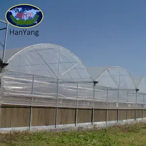 Plastic Film Greenhouse Uv Film Plastic Greenhouse Agricultural Film Greenhouse For Vegetables/Flowers/Garden