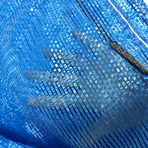 Plastic 80*100cm protect mono mesh <b>net</b> date palm <b>bags</b> with drawstring - Product Image 5