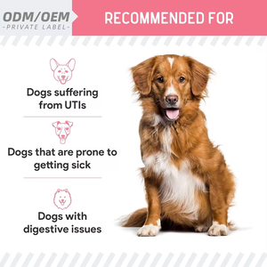 Complément pour chiens Petop OEM/ODM pour les reins et les canneberges - Soutien à la santé des voies urinaires et au <span class=keywords><strong>traitement</strong></span> des infections urinaires - Product Image 5