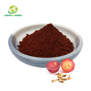 Food Antioxidants <strong>Proanthocyanidins</strong> High Quality <strong>Grape</strong> <strong>Seed</strong> <strong>Extract</strong> - Product Image 2