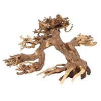 Décoration d'aquarium en bois et céramique, design moderne et écologique, squelette de racine de pin et de rhododendron, emballé en boîte