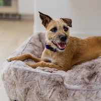 Hersteller Großhandel Hochwertige benutzer definierte Farben und Größe Logo Quadrat Luxus Komfortable Kunst pelz Hunde bett Hilfe beim Schlafen