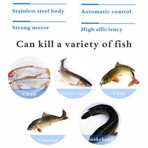 Macchina Automatica per la Pulizia, Sventramento e Squamatura del Pesce per Impianti di Lavorazione Ittica - Product Image 2