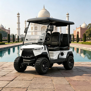 Vehículo Eléctrico Turístico para Zonas Escénicas, Carro de Golf, Buggy de Golf, Suspensión de Doble Horquilla para Uso en Carreteras No Públicas, DOT CE EEC - Product Image 1