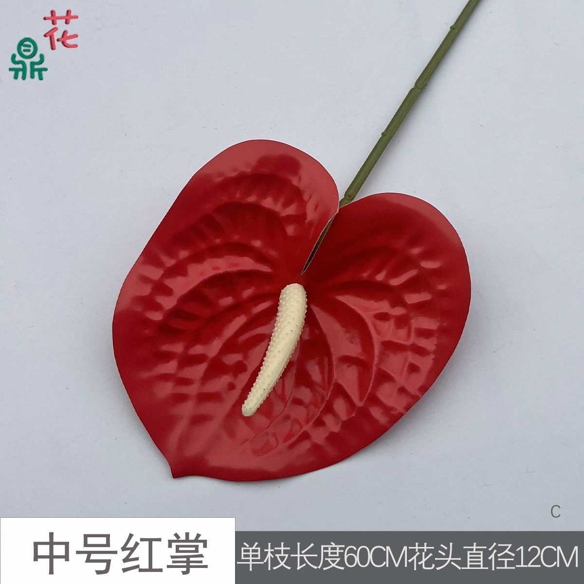 Anthurium rouge moyen C 28 (Rouge)