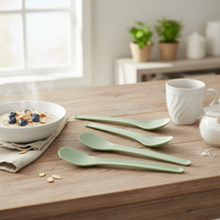 Cuillères durables et ustensiles de cuisine en bois et plastique de 14 cm, matériaux écologiques, pour yaourt, bouillie, œufs, sucre, principalement pour les aliments à la canne à sucre