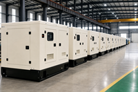 Groupe électrogène diesel silencieux de 100 kW |   Euro 5 / Stade V |   CE |   Contrôleur DSE |   Options de moteur OEM