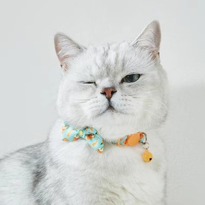 Gran oferta, nuevo estilo de diseño, diseño personalizado, hebilla de seguridad, cinturón de separación, campana, Collar para mascotas, Collar para gatos - Product Image 2
