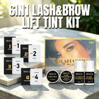 Kit professionnel 6-en-1 pour cils et sourcils : rehaussement de cils, teinture au henné pour sourcils, gel pour sourcils, permanente pour cils, lamination marron