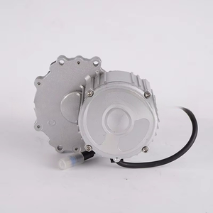 Motor de brida sin escobillas de CC de 24V 250W con imán permanente para silla de ruedas eléctrica, bicicleta eléctrica y robot, velocidad de 100 rpm, voltaje nominal de 12V - Product Image 3
