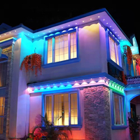 Nouvel éclairage de Noël de couleur magique RVB imperméable à l'eau de LED avec des caractéristiques décoratives IP67 pour les parcs à thème