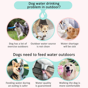 Üretici sızdırmaz Pet yavru besleme su şişeleri 350Ml 550Ml seyahat taşınabilir köpek içme suyu şişesi ile taşıma askısı - Product Image 6