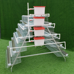 Jaula para Gallinas Ponedoras Tipo A <span class=keywords><strong>de</strong></span> 4 Niveles y 4 Puertas, Diseño Moderno, para Gallinas Ponedoras, <span class=keywords><strong>Aves</strong></span> <span class=keywords><strong>de</strong></span> <span class=keywords><strong>Corral</strong></span>, Gran Oferta, 1000 Gallinas - Product Image 2