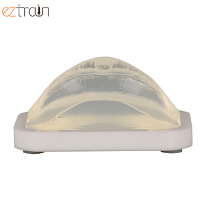 Trong suốt tiêm đào tạo mô hình môi, Chủ đề Facelift môi mô hình cho micro-nhựa giảng dạy, môi augmentation - Product Image 4