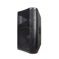 Accuracy Pro Audio CAN12APC 350W Haut-parleur de puissance active classe H de karaoké de fête en plastique de 12 pouces