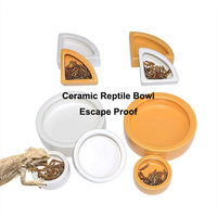 Petit bol d'alimentation en plastique pour animaux de compagnie décor lézard Gecko Terrarium mangeoire tortue eau plat grenouille plat d'alimentation Reptile bol d'alimentation
