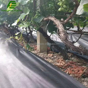 Feuilles de protection contre les mauvaises herbes en tissu pour paysage agricole - Product Image 5