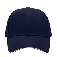 EMPRESA PROMOCIÓN EXTERIOR PERSONALIZADA 6 PANELES GORRAS DE BÉISBOL GOLF GORRAS MES TRUCKER GORRAS SANDWITCH VISOR