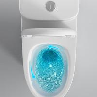 Chaozhou Salle de bain Céramique Siphon pas cher S-Trap Toilette monobloc pour salle de bain