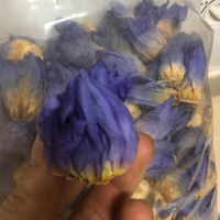 Penjualan terlaris balon bunga teratai biru asli harum bola kuncup teratai Mesir biru murni untuk teh