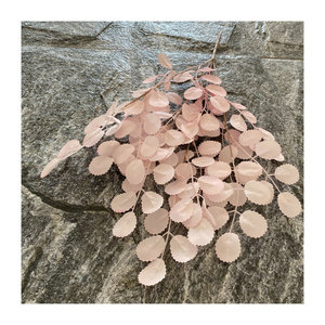 Petit arbre porte-bonheur <span class=keywords><strong>en</strong></span> <span class=keywords><strong>pot</strong></span> de haute qualité avec feuilles d'<span class=keywords><strong>eucalyptus</strong></span> pour la décoration intérieure et extérieure, fête des mères et nouvel an - Product Image 5