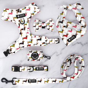 Accesorios de Lujo para Cachorros con Diseño de <span class=keywords><strong>Dachshund</strong></span>, Collar Personalizado para Perro, Conjunto de Arnés y Correa Personalizados para Mascotas - Product Image 2