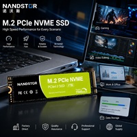 SSD Internal PCIe Gen4 M.2 NVMe Nandstor Wholesale 128GB 256GB 512GB 1TB 2TB Performa Tinggi untuk Desktop Laptop