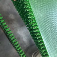Línea de Extrusión Semiautomática para Alfombras de Césped Sintético PE Gold Rush con PLC y un Solo Tornillo para Plantas de Fabricación de Alfombras para Hogar, Jardín y Puertas