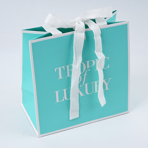 Màu In Ấn Biểu Tượng Tùy Chỉnh Quà Tặng Sang Trọng Túi Màu Xanh Tái Sử Dụng Mua Sắm Túi Giấy Với Ribbon Xử Lý - Product Image 6