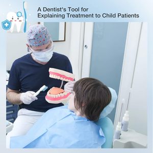 Modelo Dental de Dientes - Modelo de Cepillado Dental 6X para Prácticas Educativas en Hospitales o Escuelas Dentales con un Cepillo de Dientes de Regalo - Product Image 6