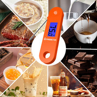 Thermomètre numérique étanche IP68 Lonnmeter à batterie rechargeable, pliable à 180 degrés, pour four, barbecue et cuisson de la viande