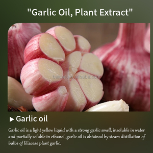 Huile <span class=keywords><strong>d</strong></span>'<span class=keywords><strong>ail</strong></span> biologique <span class=keywords><strong>de</strong></span> qualité alimentaire, pure, <span class=keywords><strong>de</strong></span> qualité supérieure, huile essentielle pure, distillée à la vapeur, aromathérapie, huile <span class=keywords><strong>de</strong></span> massage pour homme - Product Image 6