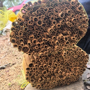 低价供应干肉桂棒，批量供应批发，优质天然香料出口 - Product Image 2