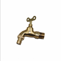 Personnalisé Nouveau Extérieur Doré Eau Bavoir Robinet Moderne En Acier Inoxydable Noyau Zinc Machine À Laver Robinet De Jardin En Laiton Cuivre Bibcock