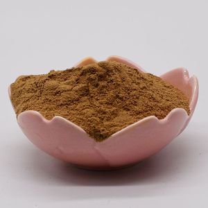 Venta al por mayor Extracto de hierbas Rheum Palmatum Raíz en polvo 10:1 Polvo de extracto de ruibarbo chino - Product Image 4