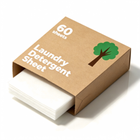 OEM 40 Feuilles de Lessive de Qualité Commerciale pour Hôtels