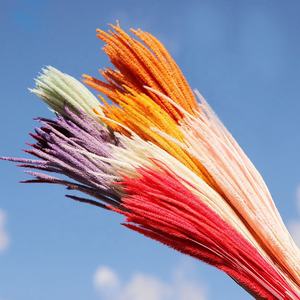 En stock, vente flash, herbe de la pampa séchée naturelle, herbe de Kirin, <span class=keywords><strong>bouquet</strong></span> de blé pour décoration de mariage et cadeau d'anniversaire - Product Image 2